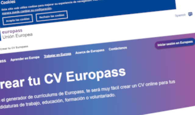 ©Ayto.Granada: Elabora tu CV europeo
